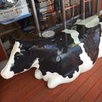 山川牧場ミルクプラント - 2016.03牛～(>_<)