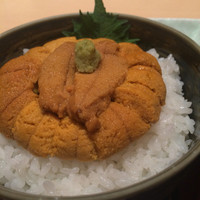 函館うに むらかみ 日本生命札幌ビル店 - 