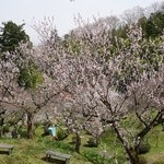 Chuukasoba Konno - オマケ・綺麗でした～