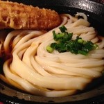 山下本気うどん - 