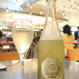 Salt Water By David Myers_0