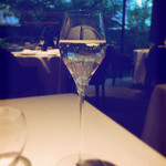 レフェルヴェソンス - プラム