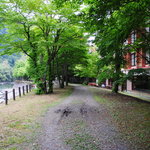 奥入瀬渓流ホテル - ホテルそばの散策道