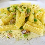 ピノロッソ - サルシッチャと菜の花のクリームソース　リガトーニ