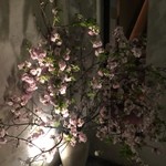 神保町 傳 - 2016.04