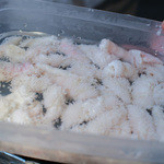 生ホルモン処 おさむちゃん。 - ウルテ☆