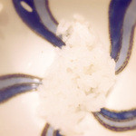 草喰 なかひがし - 煮えばな