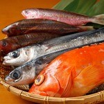 遊食家 ゆがふ - 沖縄ちゅら海から直送される日替わり鮮魚♪