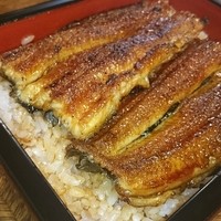 うなぎの新甫 - うな重【4月度月例鰻会】