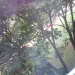 玄武風柳亭 - 部屋から外をパチリ