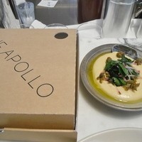 THE APOLLO - 