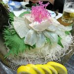 季節料理 藤原 - ヒラメ