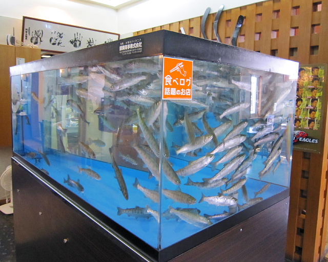 日本橋（ニホンバシ） - 糸井（日本料理）の写真