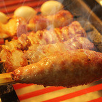 彩 - 大山どり！