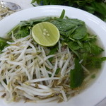 Pho Hoa - もやし～