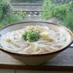 西端手打 上戸うどん - かけうどん中（二玉）300円