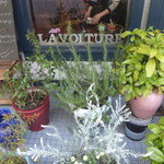 LA VOITURE - 店舗前はグリーンがいっぱい・・・窓に店名発見