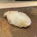 菊鮨 - アオリイカ