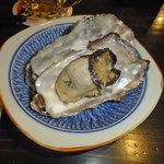 五十八 - うまみがギュッと濃縮