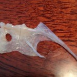 富士屋 - 鯛in鯛(鯛の中の鯛)