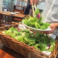 BISTRO FAVORI 代官山 - 