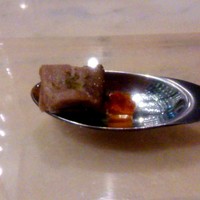 SALONE 2007 - 