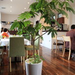 クラリタ ダ マリッティマ - 