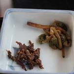 法楽屋 - 土筆のおひたし 

わあ、懐かしい！

子どもの頃、畦焼きした土手で探してよう取ってきたもんや。