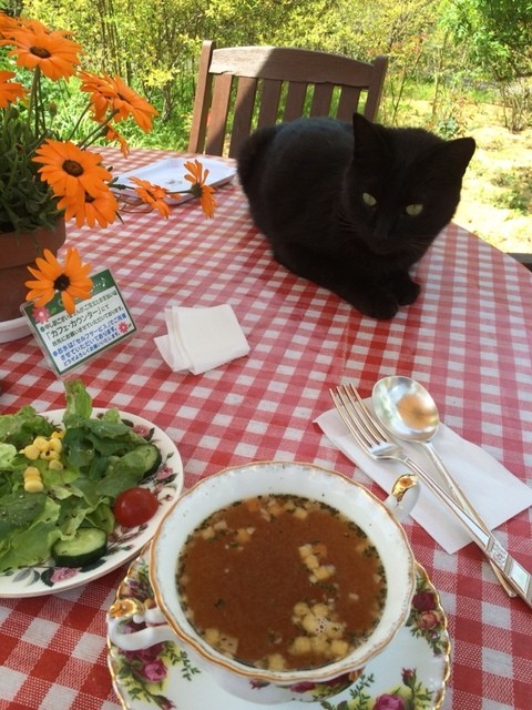 薔薇と猫ちゃんのカフェ By キリヤナギサ ドリプレ ローズガーデン カフェ 君津 カフェ 喫茶 その他 食べログ