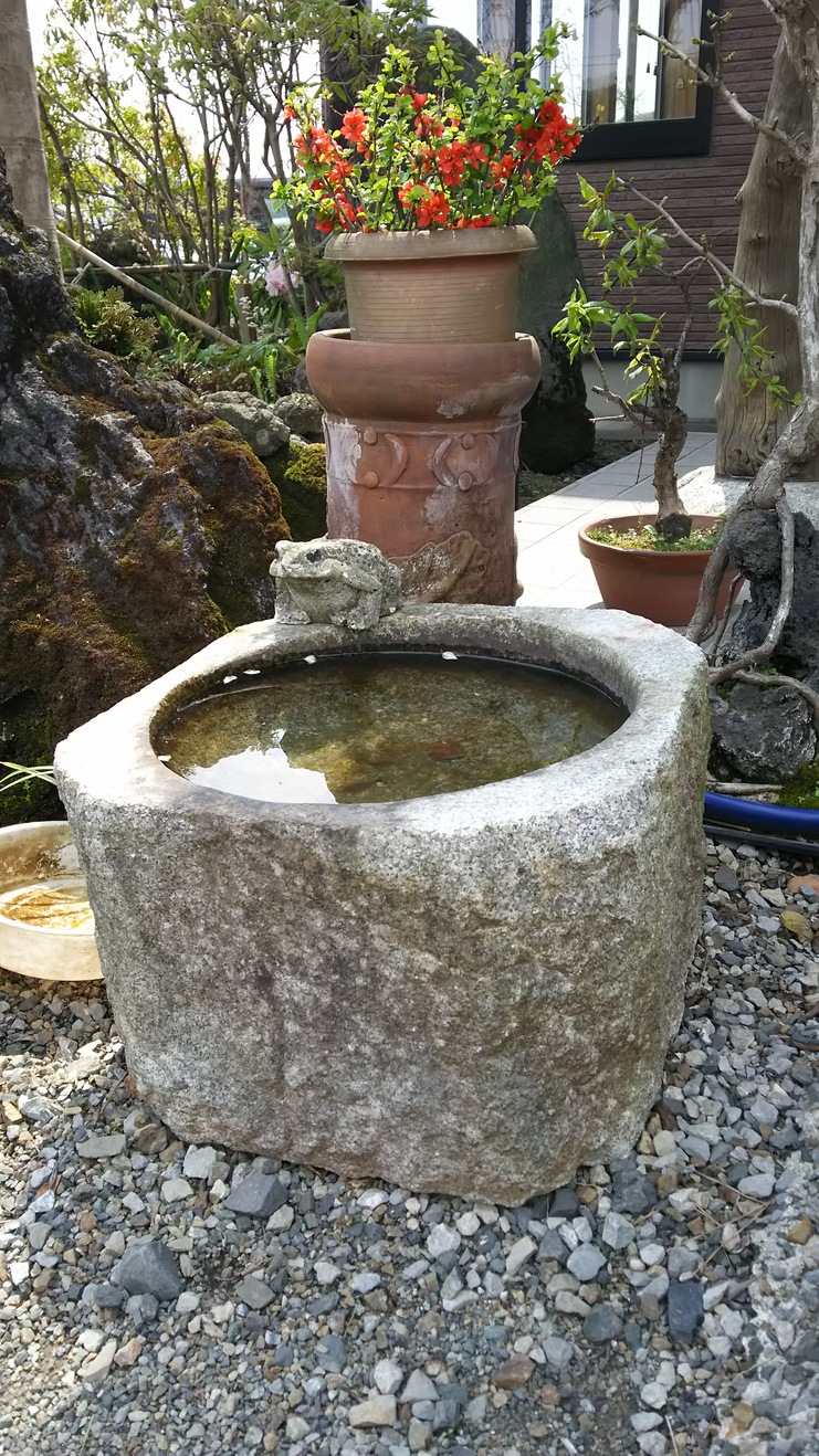 梓 name=