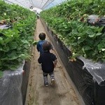 あきらいちご園 - 