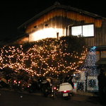 鳥せい - 2008年12月の夜