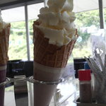 道の駅 吉野路大塔 - 