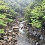 Matsutake - 大川