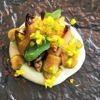 クラフタル - カエルのコンフィ、菜の花