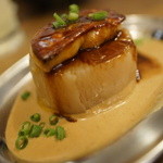 piccolo MODENA - フォアグラでーこん