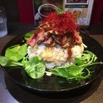 RED MOUNTAIN - ステーキ丼