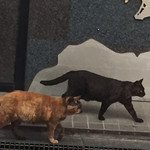 炭焼き成吉思汗 いし田 - 160417