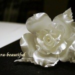 カンテサンス - 