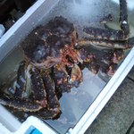 辰寿し - 生きてますタラバ蟹