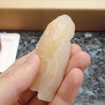 初音鮨 - さくら鯛