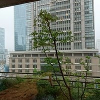 Wattle Tokyo - 個室からの景色