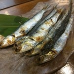 旬魚菜 しら川 - めざし