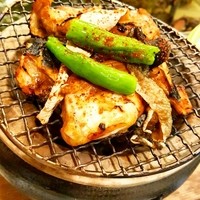 割烹 かじ 本店 - 