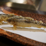 天ぷら　酒菜　醍醐 - 稚鮎。