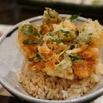 天ぷら　酒菜　醍醐 - サクラ海老の天丼・・。