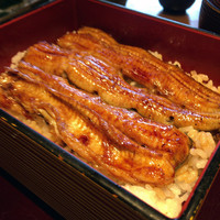 鰻割烹まえはら - 鰻重（鷹）3/4匹