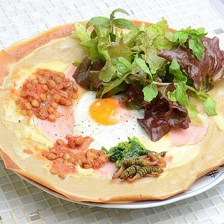 レモンソルト_0