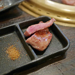 SATOブリアン - タン元