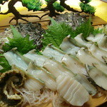 和の食彩 吉楽庵 - 妊娠3か月目にお祝い！アワビ盛り